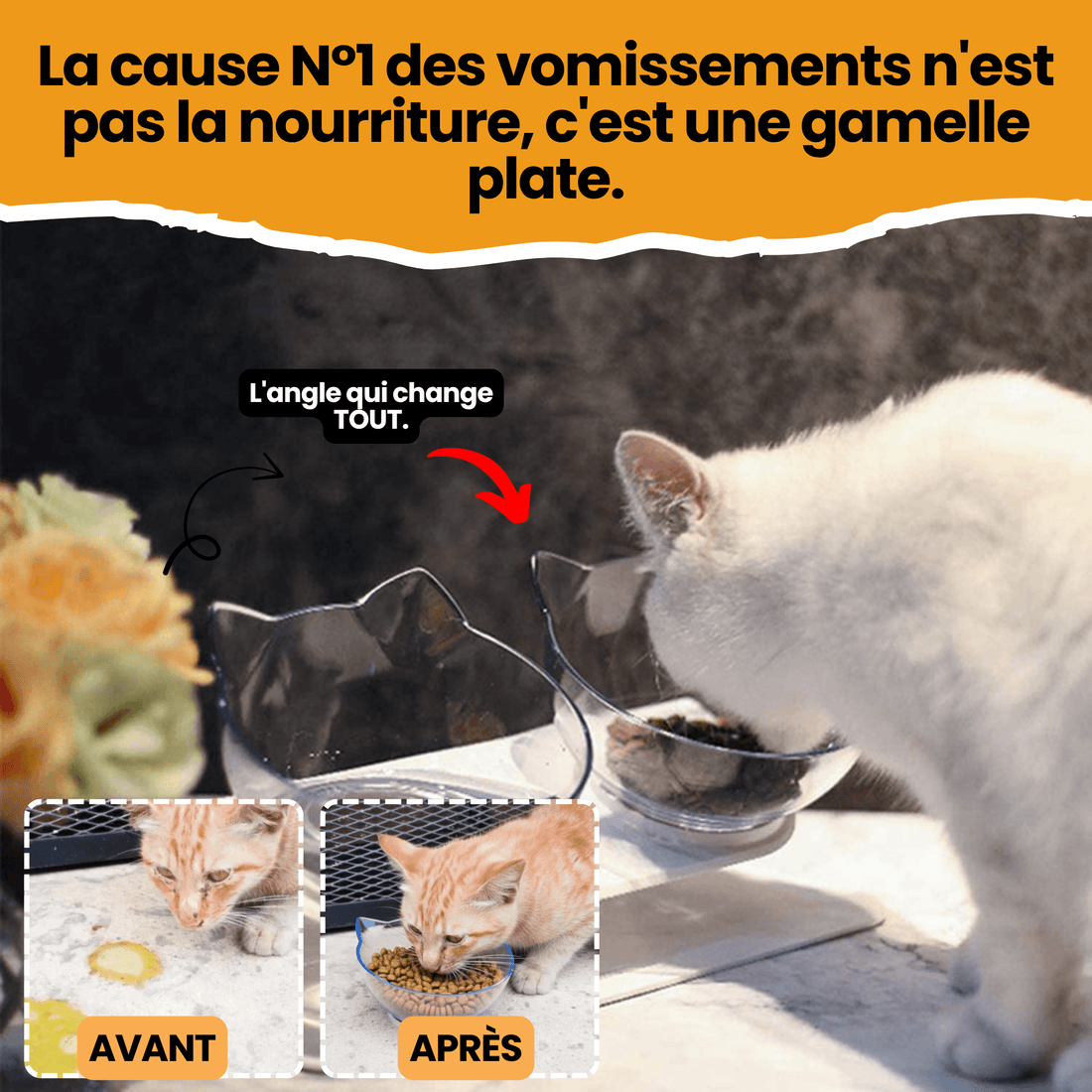Gamelle Surélevée Royale Chatonia — Anti-vomissement