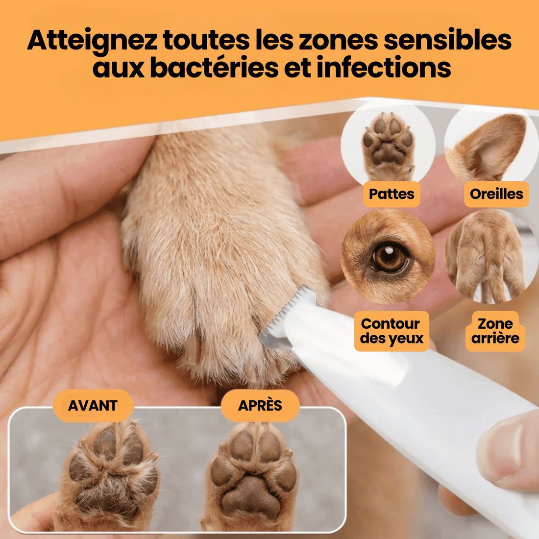 Tondeuse Silencieuse pour Chien Chatonia — Sans Fil