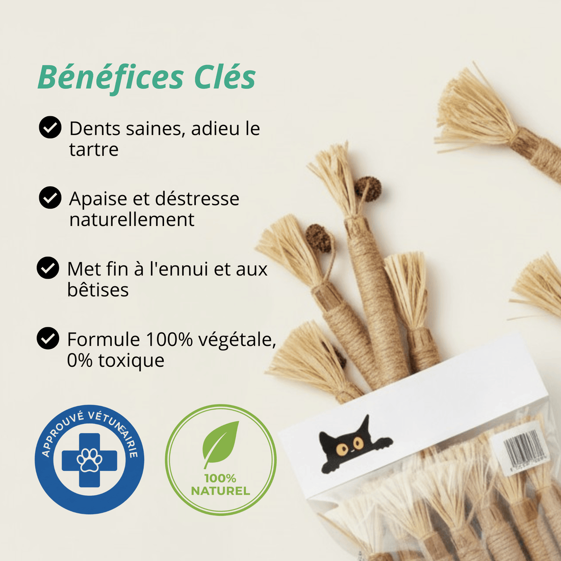 Bâtonnets Matatabi Chatonia — Soin dentaire 100 % naturel
