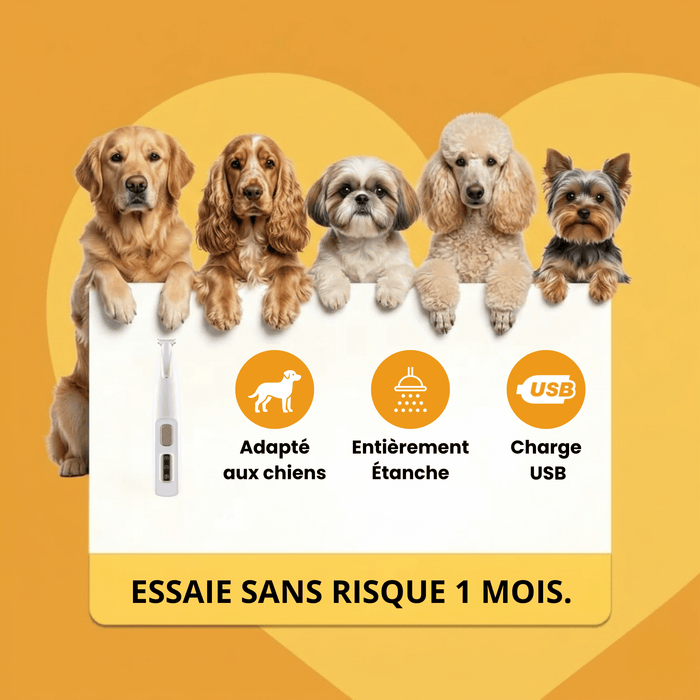 Tondeuse Silencieuse pour Chien Chatonia — Sans Fil