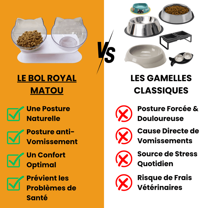 Gamelle Surélevée Royale Chatonia — Anti-vomissement