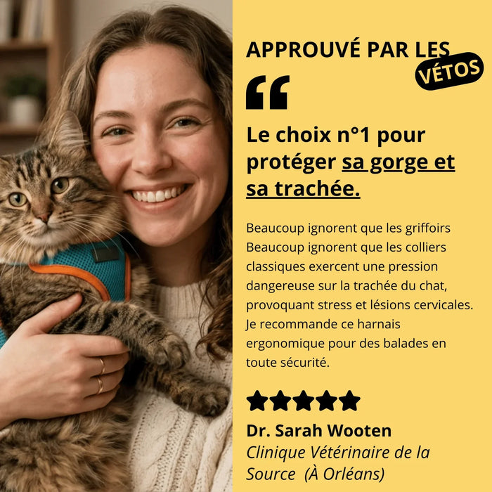 Harnais Anti-Fugue & Laisse Chatonia — Velours doux