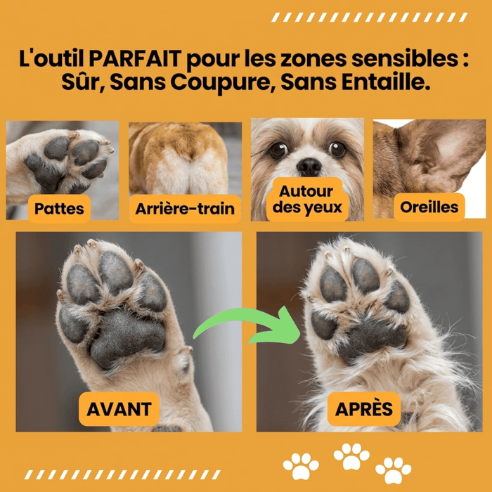 Tondeuse Silencieuse pour Chien Chatonia — Sans Fil