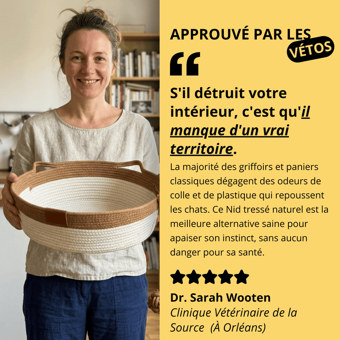 Le Nid Chatonia — Lit apaisant & griffoir naturel