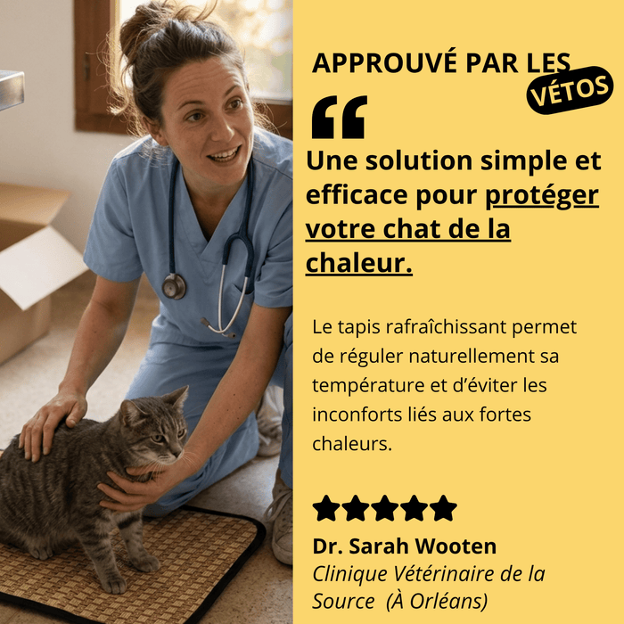 Tapis Rafraîchissant Chatonia — Fraîcheur d'été sans gel