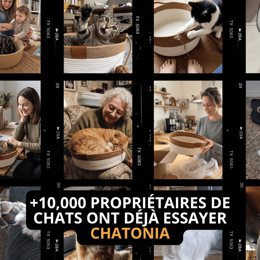 Le Nid Chatonia — Lit apaisant & griffoir naturel