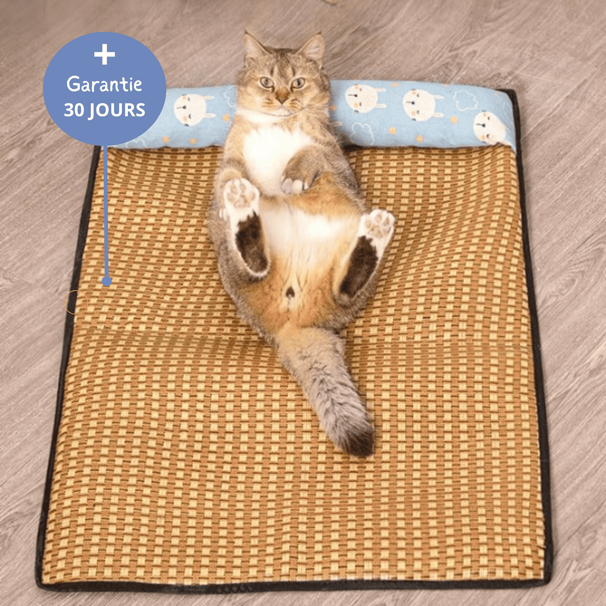 Tapis Rafraîchissant Chatonia — Fraîcheur d'été sans gel