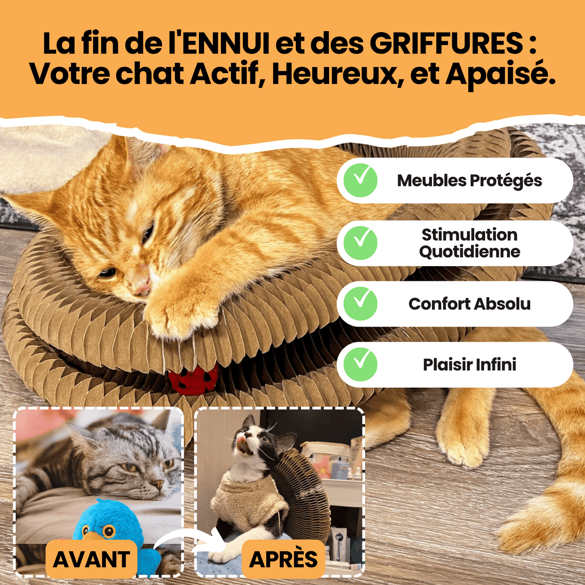 Griffoir Tunnel Modulable Chatonia — Griffoir, Tunnel & Lit