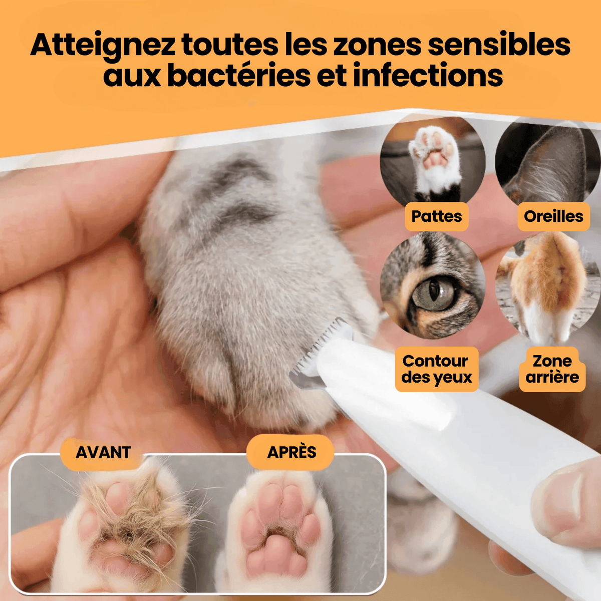 Tondeuse Silencieuse Chatonia — Toilettage Doux & Sécurisé