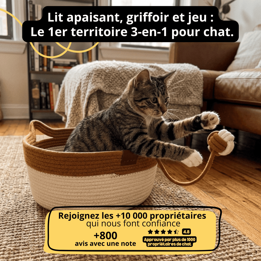 Le Nid Chatonia — Lit apaisant & griffoir naturel