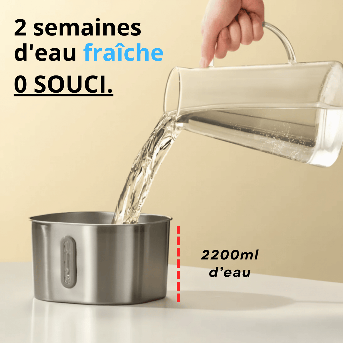 Fontaine à Eau Inox Chatonia — Eau fraîche et filtrée 24h/24