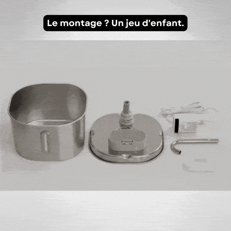 Filtres de Rechange — Fontaine Filaire 2.0 Chatonia