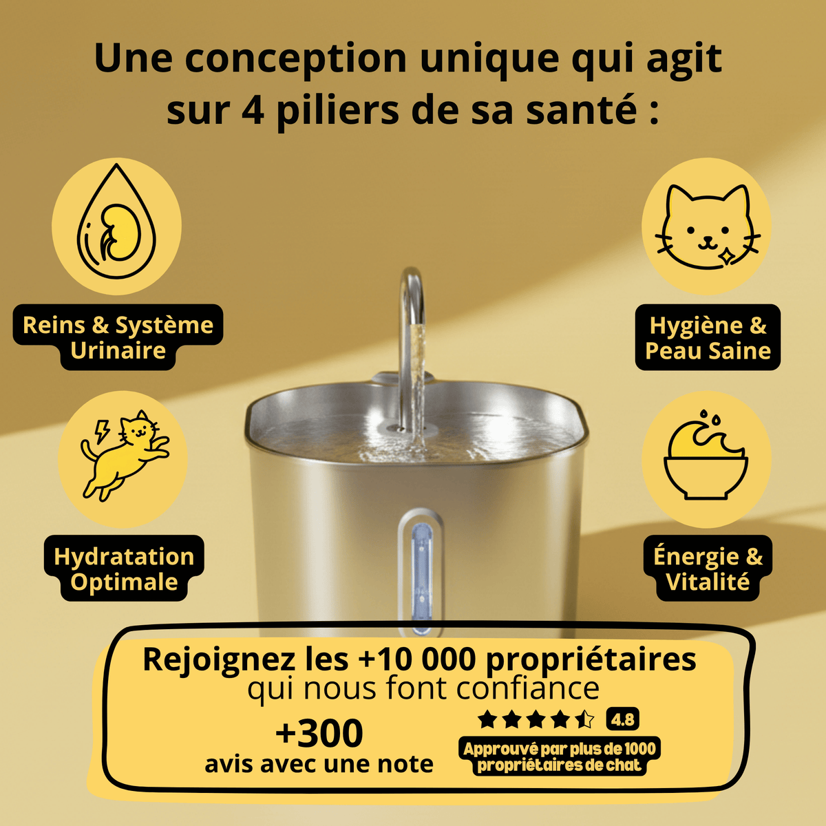 Fontaine à Eau Inox Chatonia — Eau fraîche et filtrée 24h/24