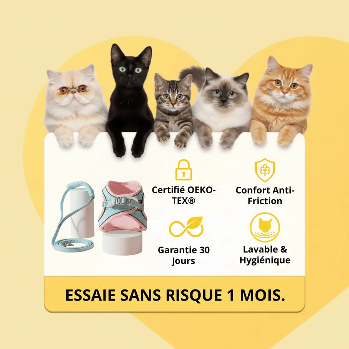 Harnais Anti-Fugue & Laisse Chatonia — Velours doux