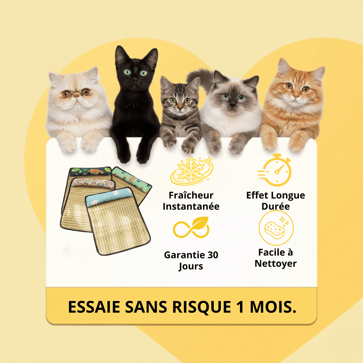 Tapis Rafraîchissant Chatonia — Fraîcheur d'été sans gel