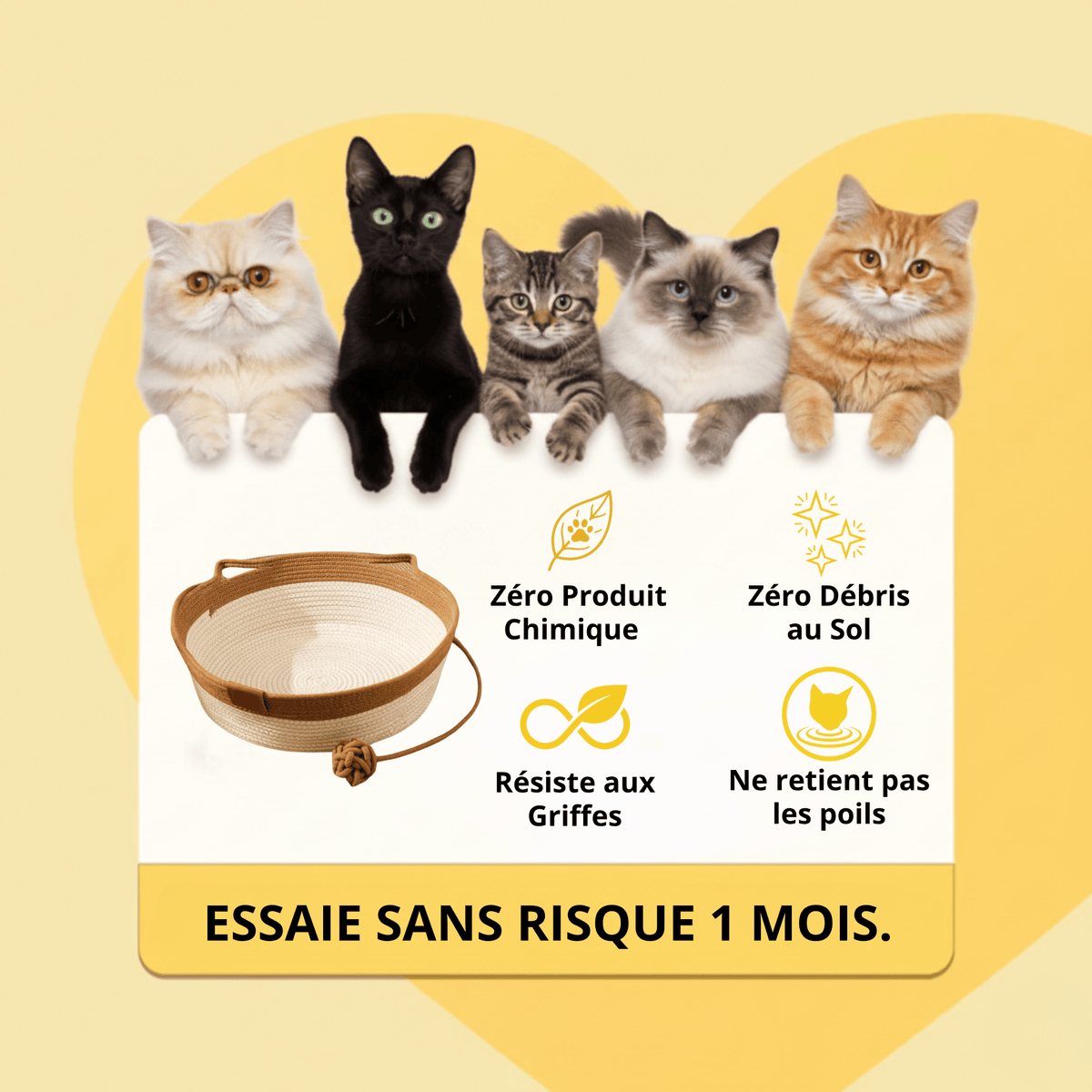 Le Nid Chatonia — Lit apaisant & griffoir naturel