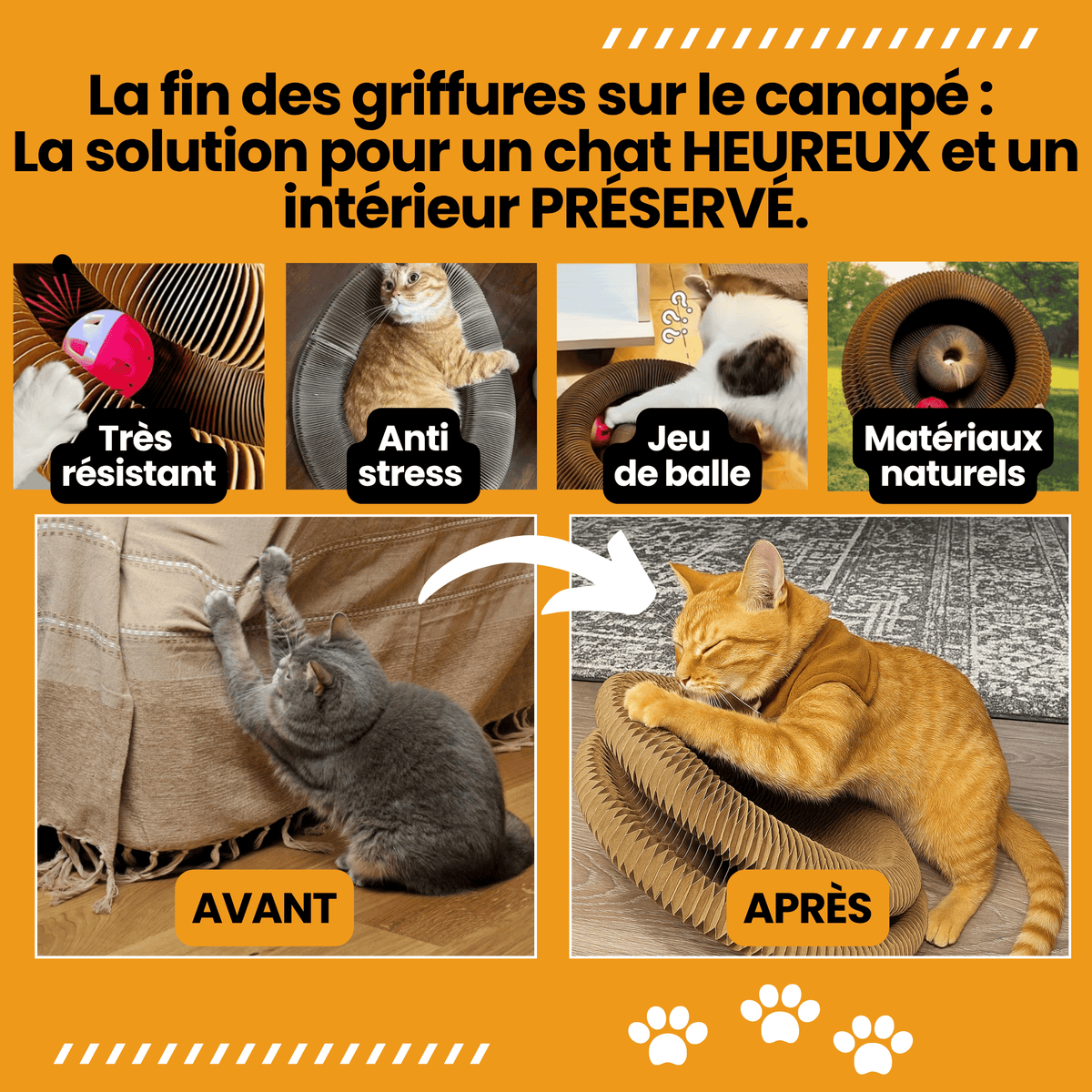 Griffoir Tunnel Modulable Chatonia — Griffoir, Tunnel & Lit