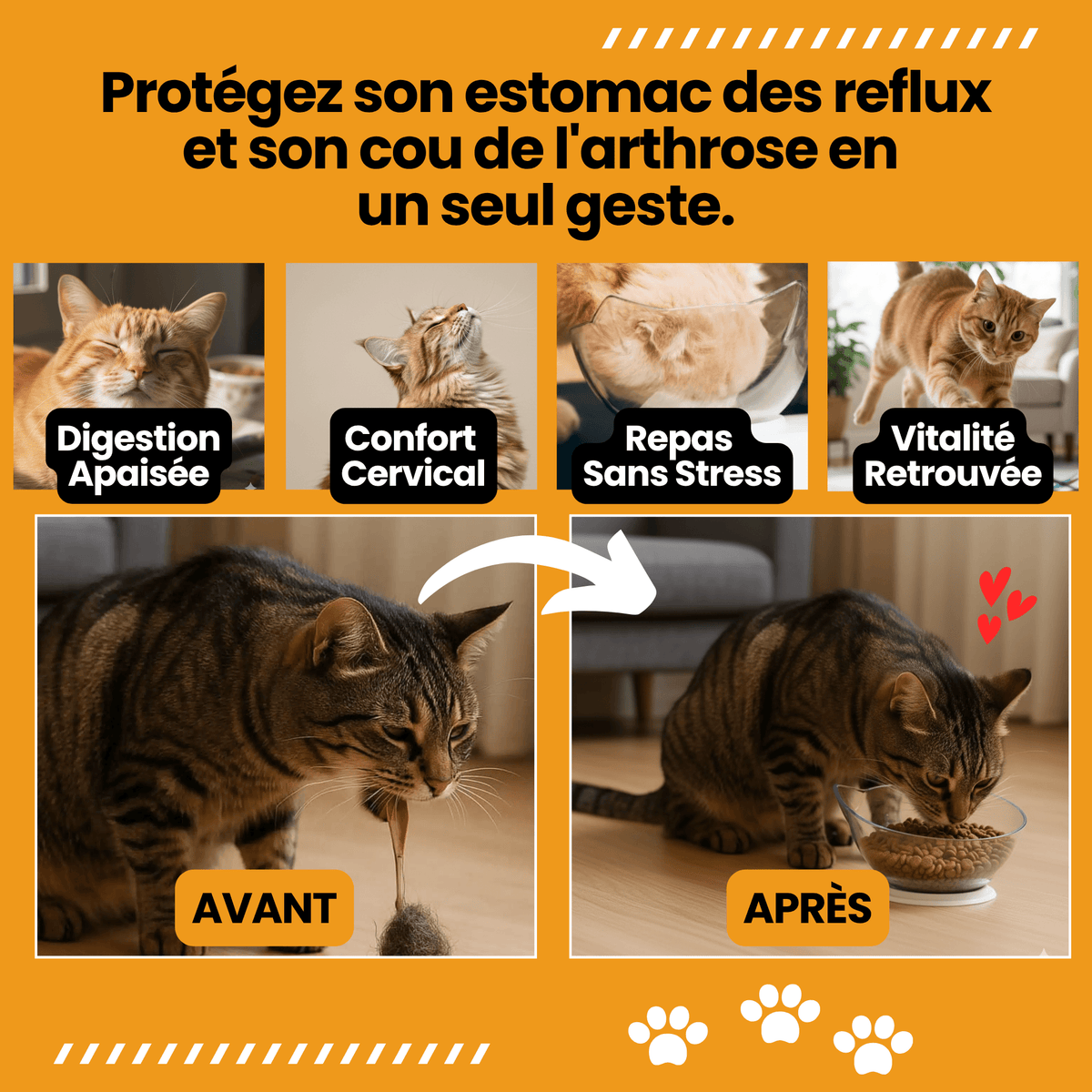 Gamelle Surélevée Royale Chatonia — Anti-vomissement