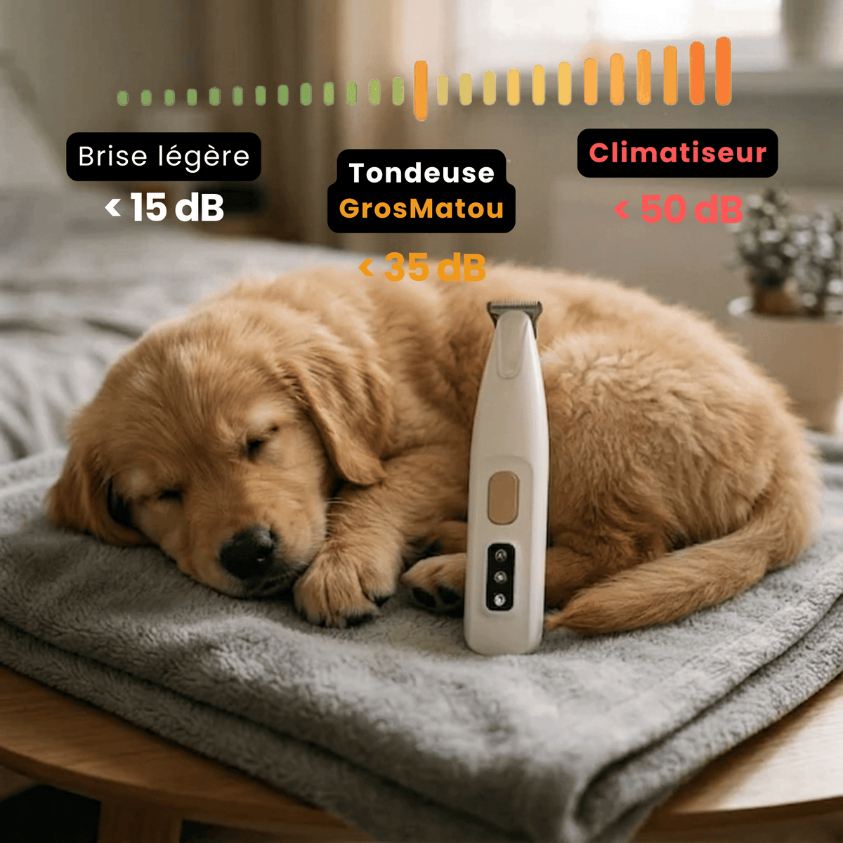 Tondeuse Silencieuse pour Chien Chatonia — Sans Fil