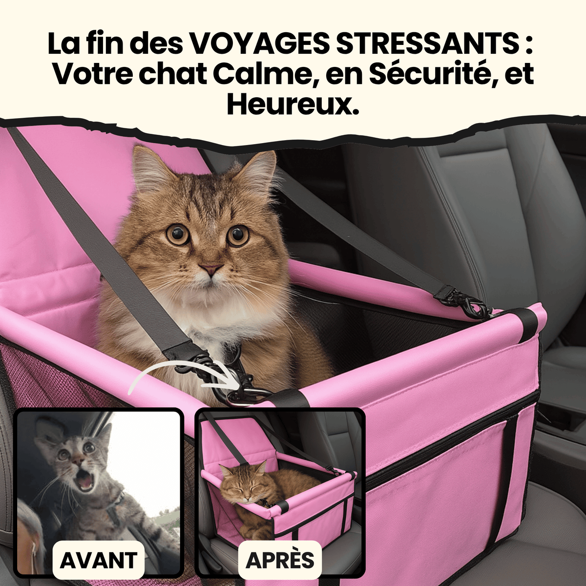 Siège Auto Confort Chatonia — Voyagez sans stress