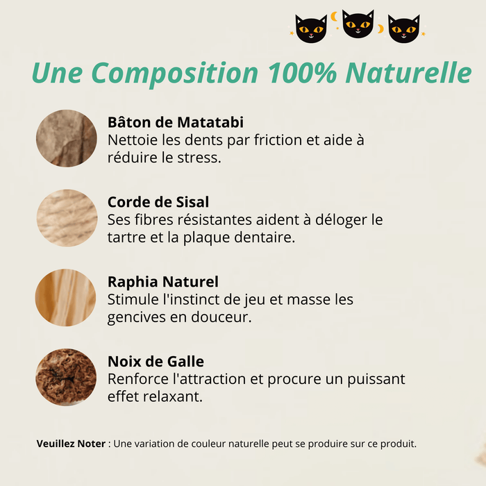 Bâtonnets Matatabi Chatonia — Soin dentaire 100 % naturel