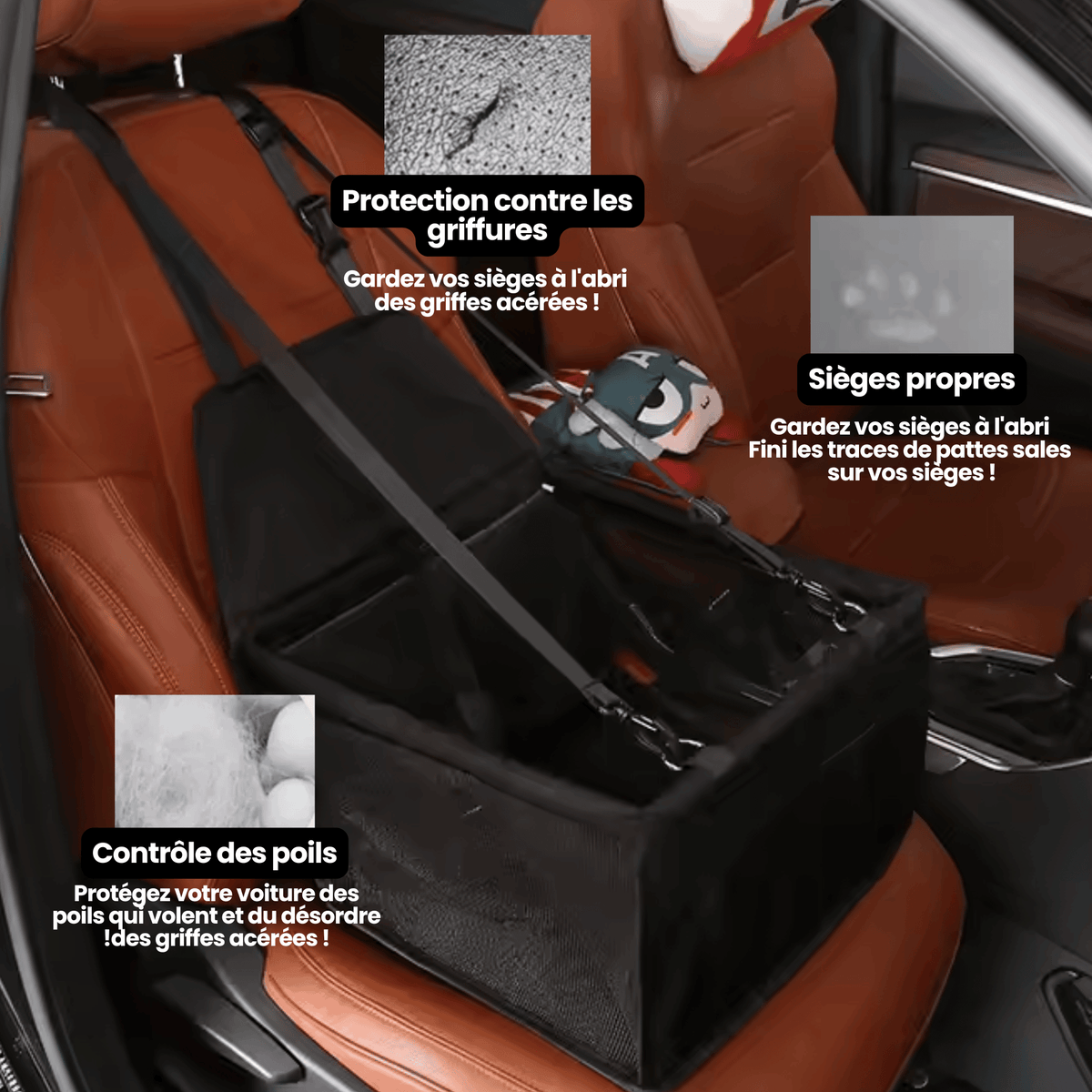 Siège Auto Confort Chatonia — Voyagez sans stress
