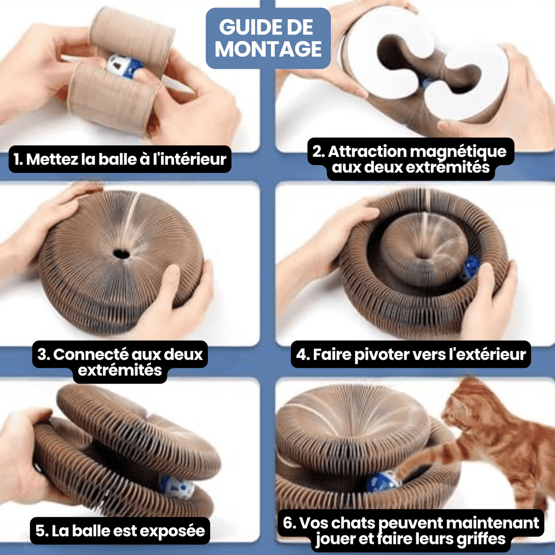 Griffoir Tunnel Modulable Chatonia — Griffoir, Tunnel & Lit