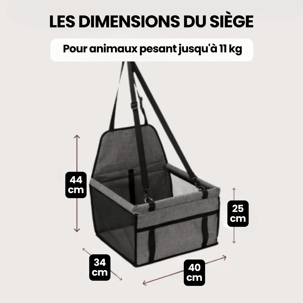 Siège Auto Confort Chatonia — Voyagez sans stress