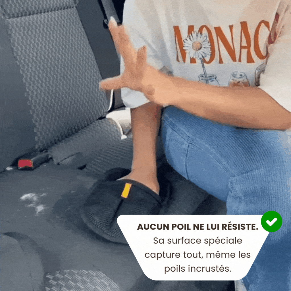 Gant Anti-Poils Chatonia — Brosse, masse et ramasse les poils