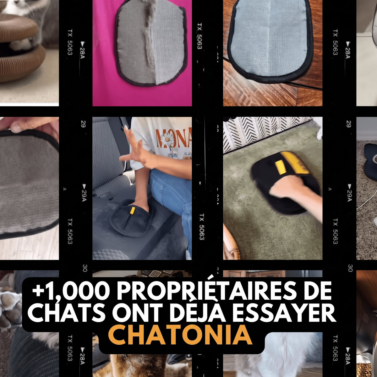 Gant Anti-Poils Chatonia — Brosse, masse et ramasse les poils