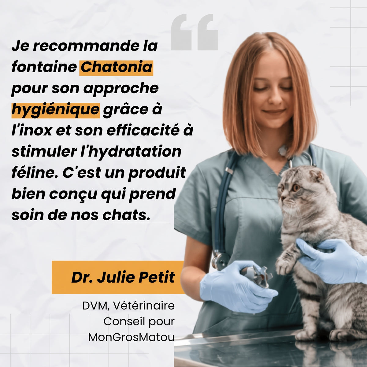 Fontaine Sans Fil 4 L Inox Chatonia — Premium
