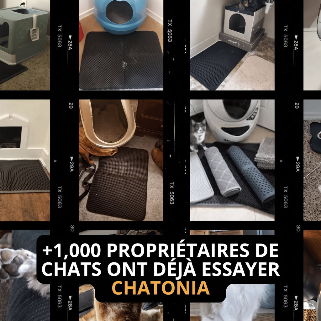 Tapis de Litière Double Couche Chatonia — Zéro grain dans la maison