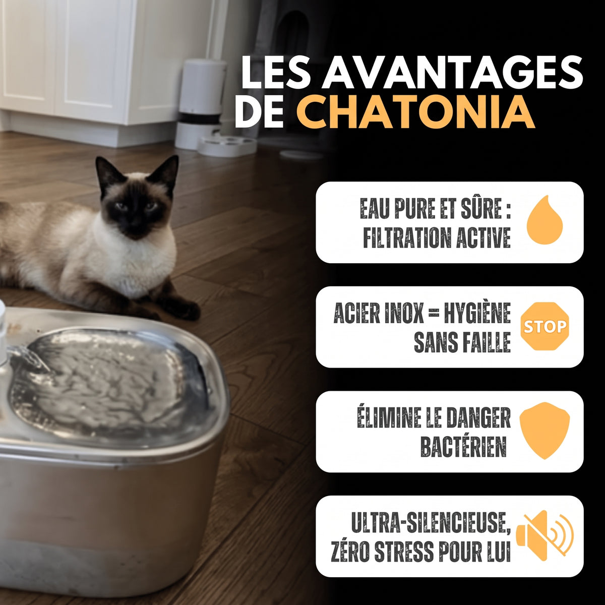 Fontaine Sans Fil 4 L Inox Chatonia — Premium