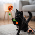 Canne à Pêche pour Chat — Citrouille
