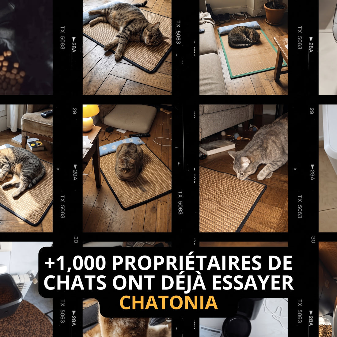 Tapis Rafraîchissant Chatonia — Fraîcheur d'été sans gel