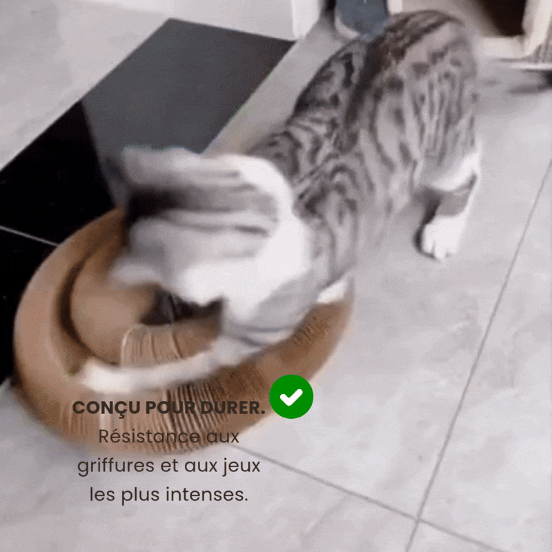 Griffoir Tunnel Modulable Chatonia — Griffoir, Tunnel & Lit