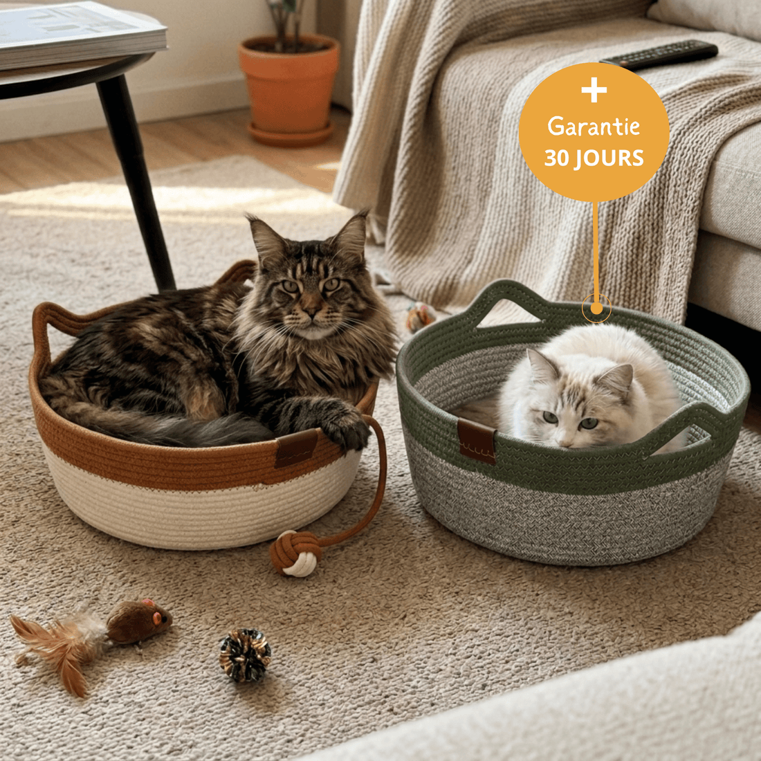 Le Nid Chatonia — Lit apaisant & griffoir naturel