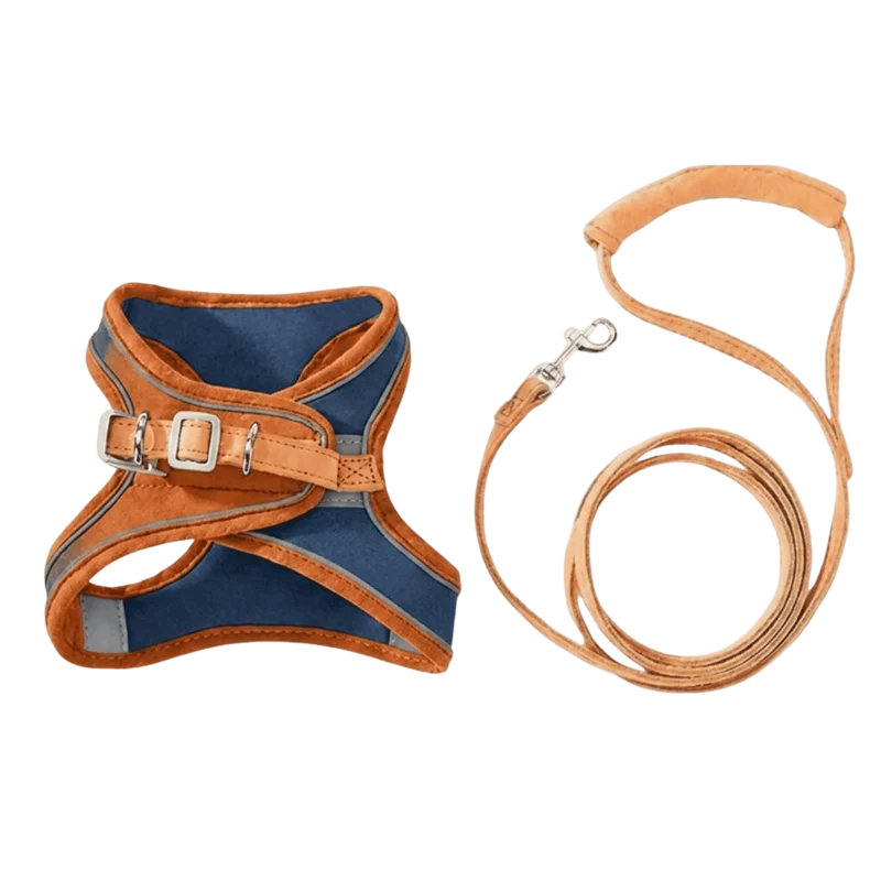 Harnais Anti-Fugue & Laisse Chatonia — Velours doux