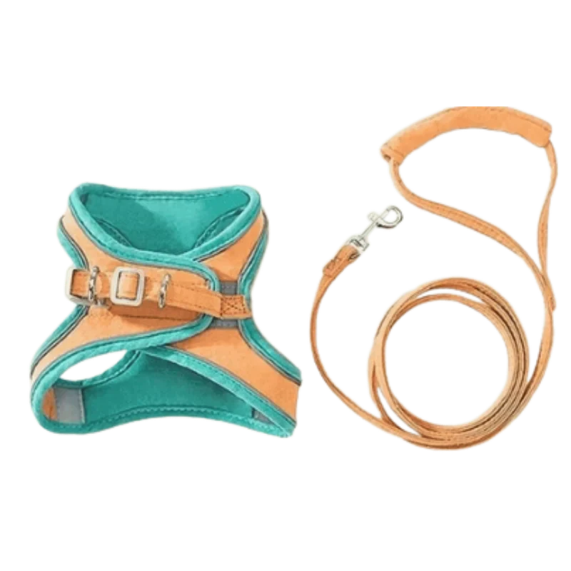 Harnais Anti-Fugue & Laisse Chatonia — Velours doux